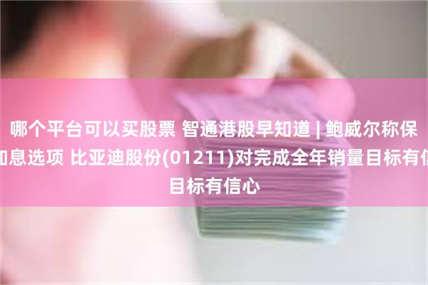 哪个平台可以买股票 智通港股早知道 | 鲍威尔称保留加息选项 比亚迪股份(01211)对完成全年销量目标有信心