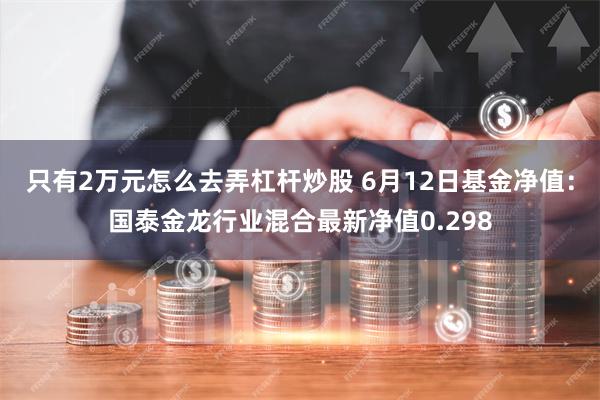 只有2万元怎么去弄杠杆炒股 6月12日基金净值：国泰金龙行业混合最新净值0.298