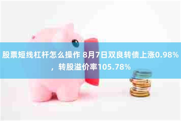 股票短线杠杆怎么操作 8月7日双良转债上涨0.98%，转股溢价率105.78%