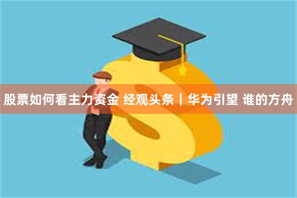 股票如何看主力资金 经观头条｜华为引望 谁的方舟