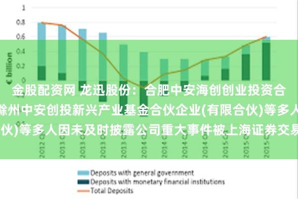 金股配资网 龙迅股份：合肥中安海创创业投资合伙企业(有限合伙)、滁州中安创投新兴产业基金合伙企业(有限合伙)等多人因未及时披露公司重大事件被上海证券交易所采取监管措施