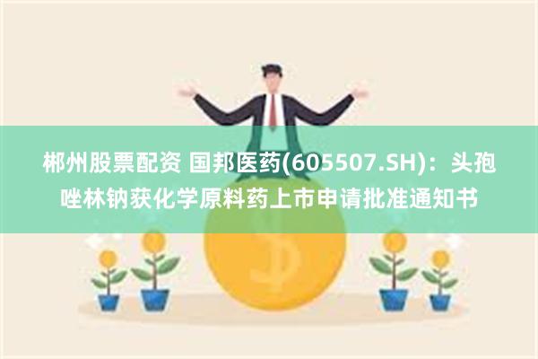 郴州股票配资 国邦医药(605507.SH)：头孢唑林钠获化学原料药上市申请批准通知书