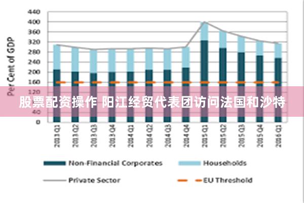 股票配资操作 阳江经贸代表团访问法国和沙特