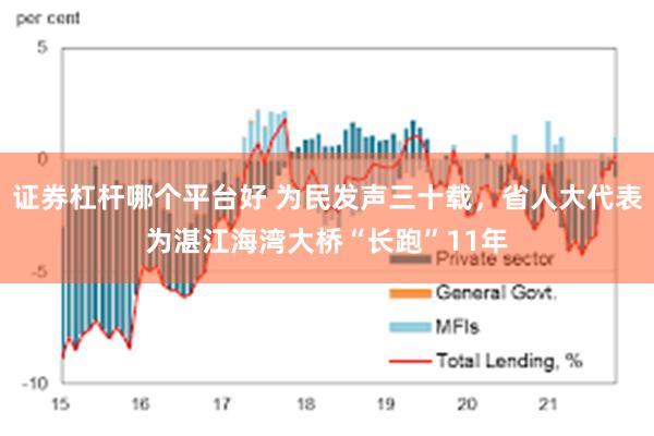 证券杠杆哪个平台好 为民发声三十载，省人大代表为湛江海湾大桥“长跑”11年