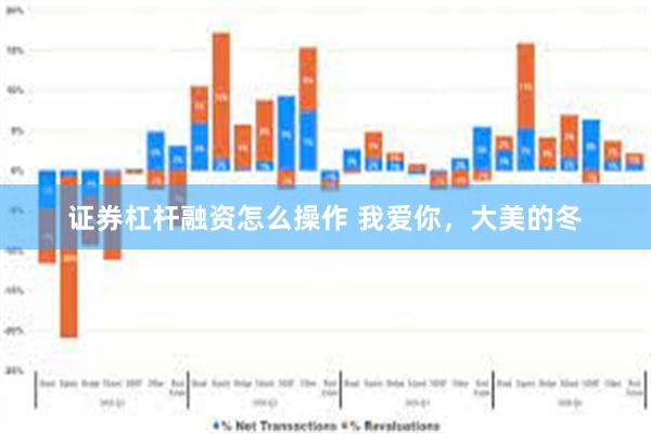 证券杠杆融资怎么操作 我爱你，大美的冬