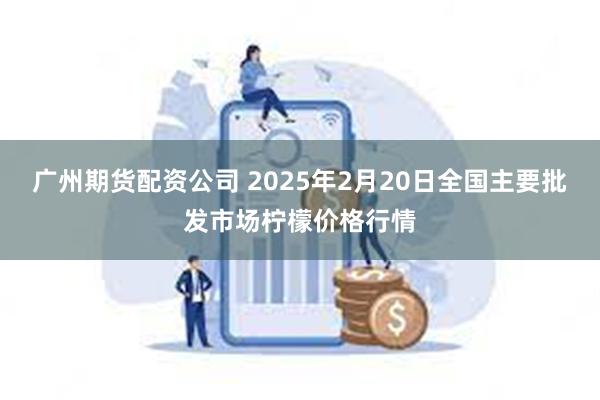 广州期货配资公司 2025年2月20日全国主要批发市场柠檬价格行情